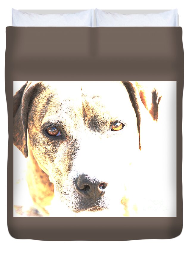 Dog Duvet Cover featuring the photograph She Sees Me by Kae Cheatham