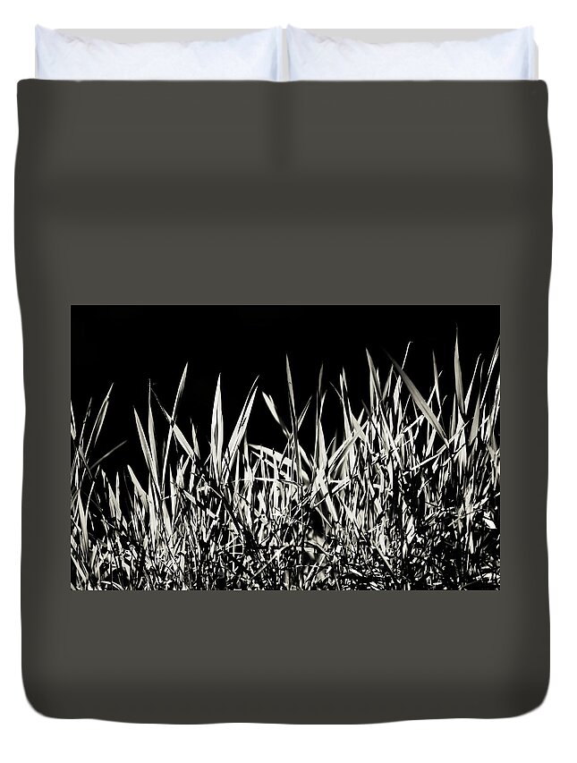  Duvet Cover featuring the photograph Shining Grass by Jenny Rainbow