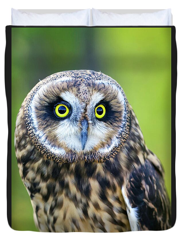 Owl Duvet Cover featuring the photograph Short-eared Owl #2 by Shirley Dutchkowski