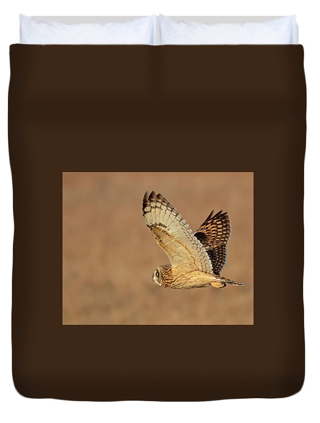 Owl Duvet Cover featuring the photograph Short-eared Owl on the Tallgrass Prairie #2 by Mindy Musick King