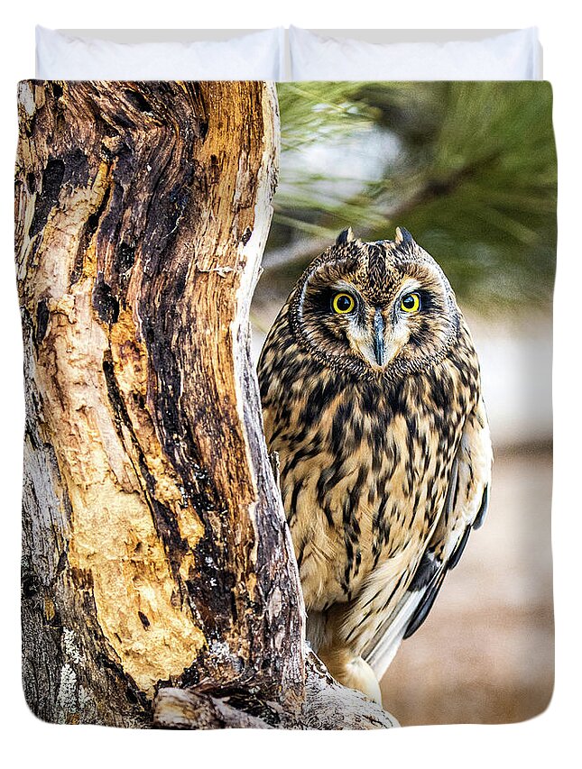 Owl Duvet Cover featuring the photograph Short-eared Owl Peeking by Dawn Key