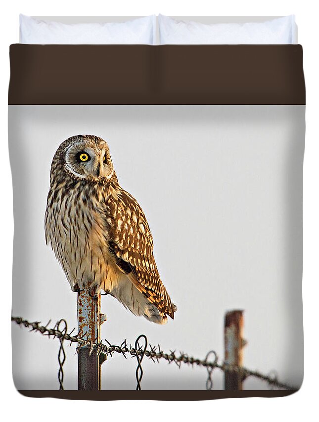 Birds Duvet Cover featuring the photograph Short-eared Owl by Wesley Aston