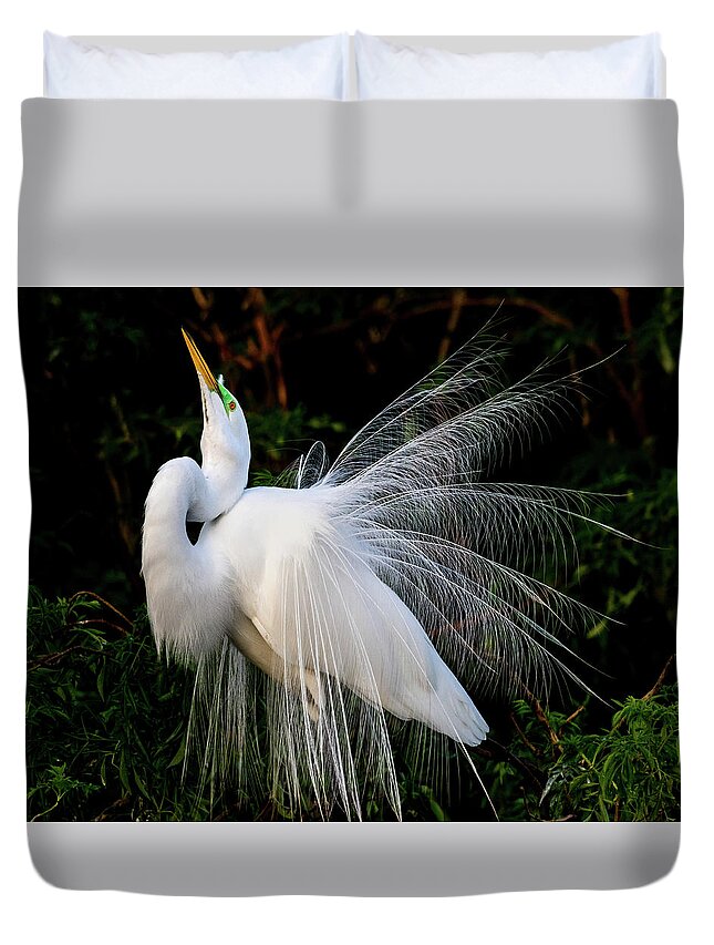 Great Egret Duvet Cover featuring the photograph Showoff by Jim Miller