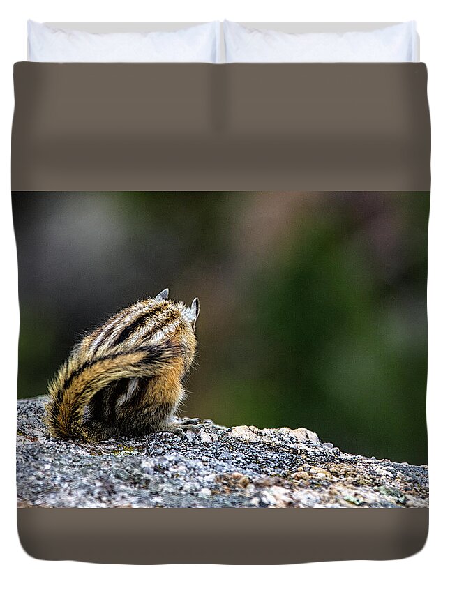 Mammal Duvet Cover featuring the photograph Shy Chipmunk by Jason Roberts