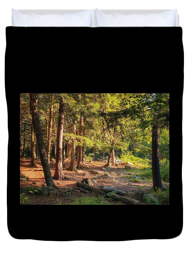 Woods Duvet Cover featuring the photograph Sideshow by Robert Dann