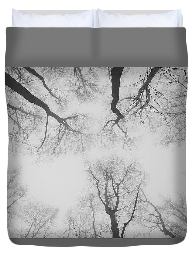 Forest Duvet Cover featuring the photograph Silence in forest by Vaclav Sonnek