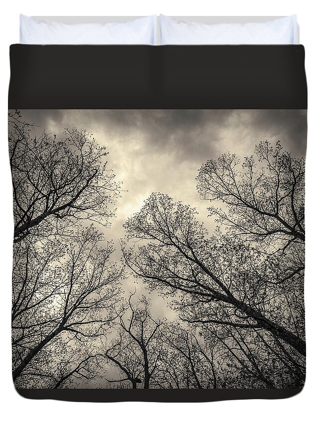 Abstract Duvet Cover featuring the photograph Silhouetted Trees V Toned by David Gordon
