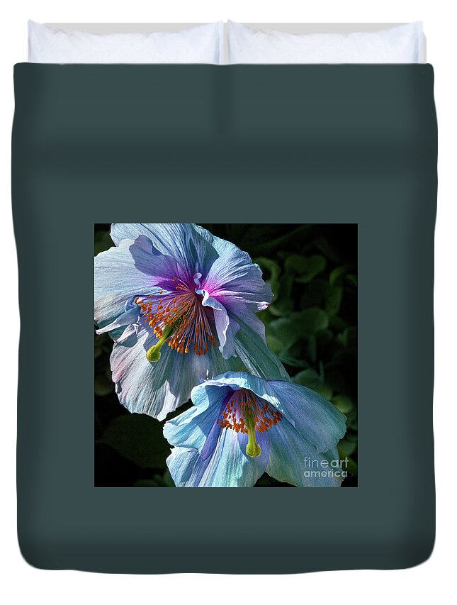 Conservatories Duvet Cover featuring the photograph Silk Poppies by Marilyn Cornwell