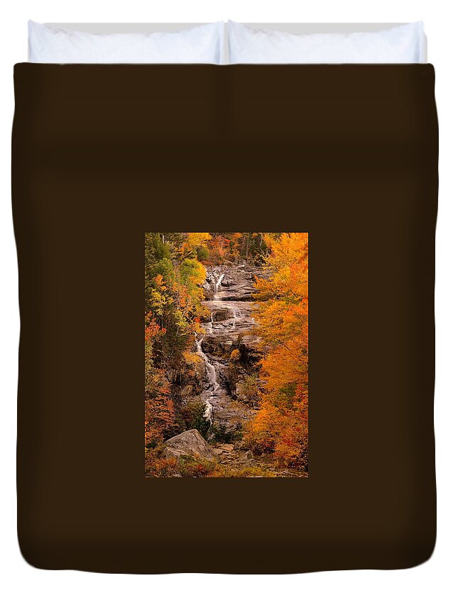 New Hampshire Duvet Cover featuring the photograph Silver and Gold. by Jeff Sinon