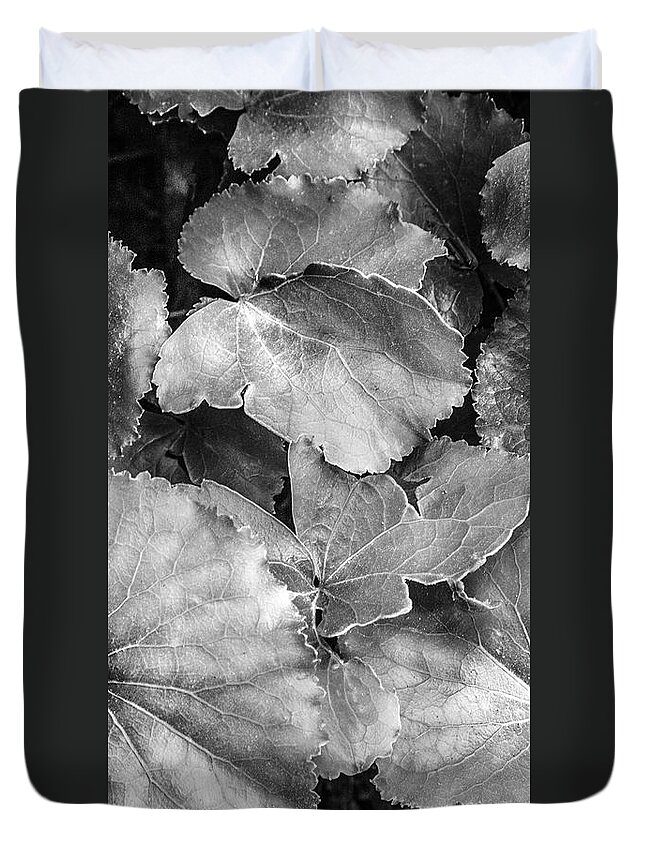Georgia Duvet Cover featuring the photograph Silver Edged Leaves in the Forest II by Debra and Dave Vanderlaan