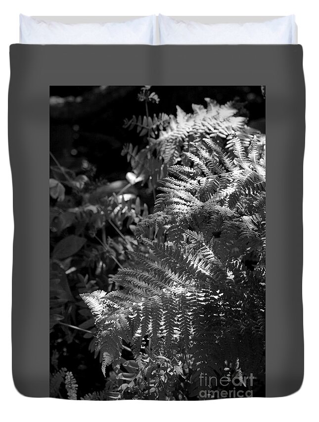 Fern Duvet Cover featuring the photograph Silver Garden by Kimberly Furey