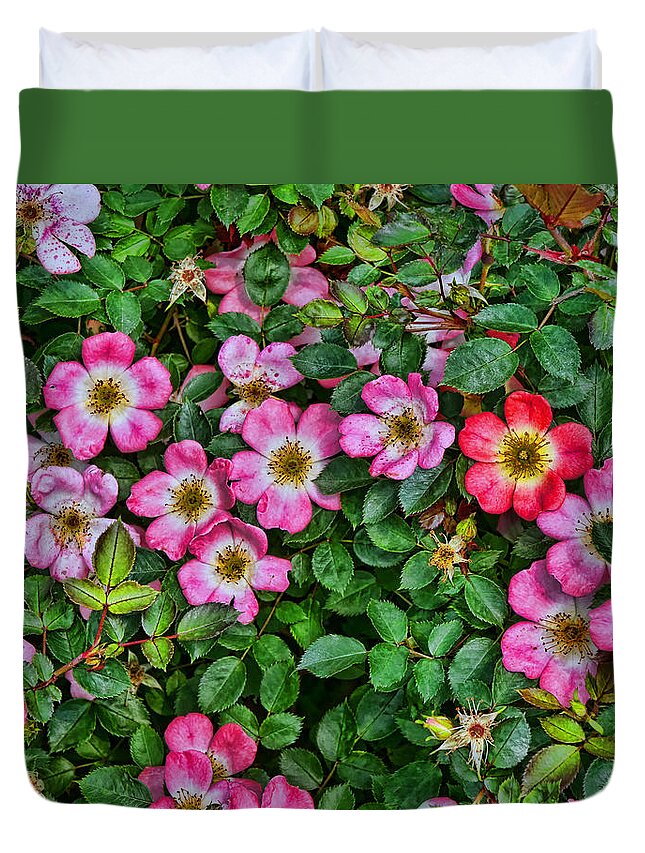 Simply Sally Duvet Cover featuring the photograph Simply Sally Minature Rose Bush by Allen Beatty