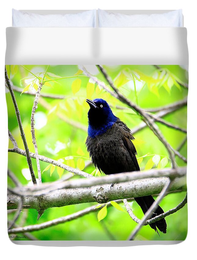 Birds Duvet Cover featuring the photograph Singing Grackle by Mary Walchuck