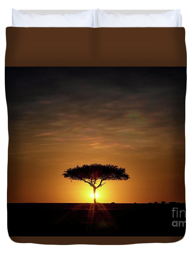 Sunrise Duvet Cover featuring the photograph Single Acacia tree on the horizon at sunrise in the Masai Mara by Jane Rix