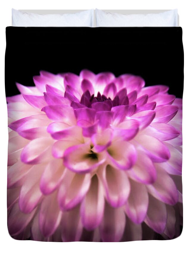 Dahlia Duvet Cover featuring the photograph Single and Beautiful by Sally Bauer