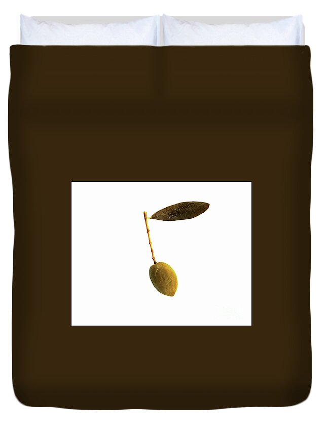 Green Olive Duvet Cover featuring the photograph Single Green Olive Isolated on white with a single leaf square by Pete Klinger