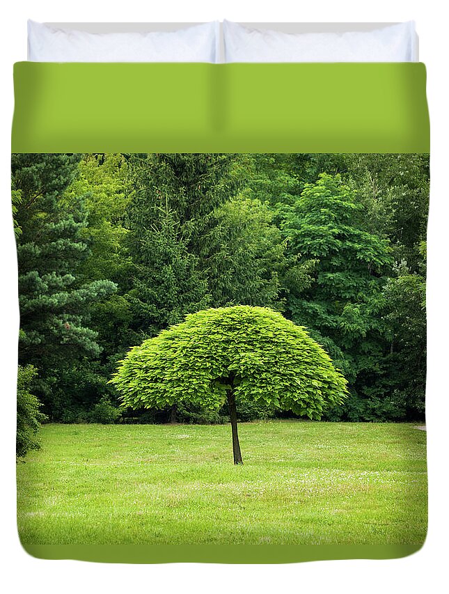 Tree Duvet Cover featuring the photograph Single Tree In The Middle Of Park Lawn by Artur Bogacki