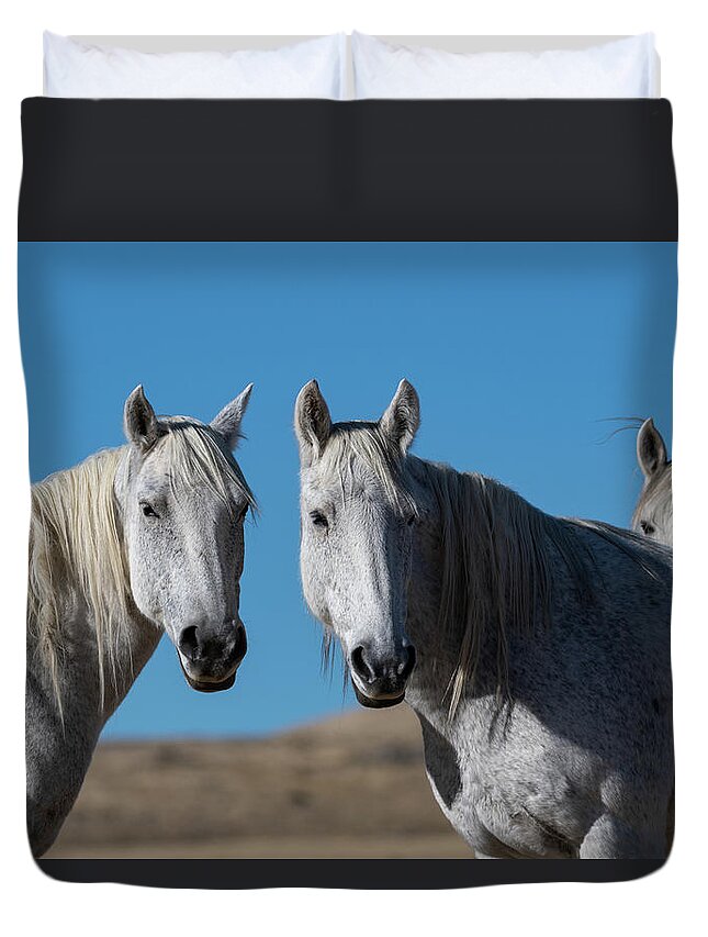Wild Horses Duvet Cover featuring the photograph Sisters in Life by Mary Hone