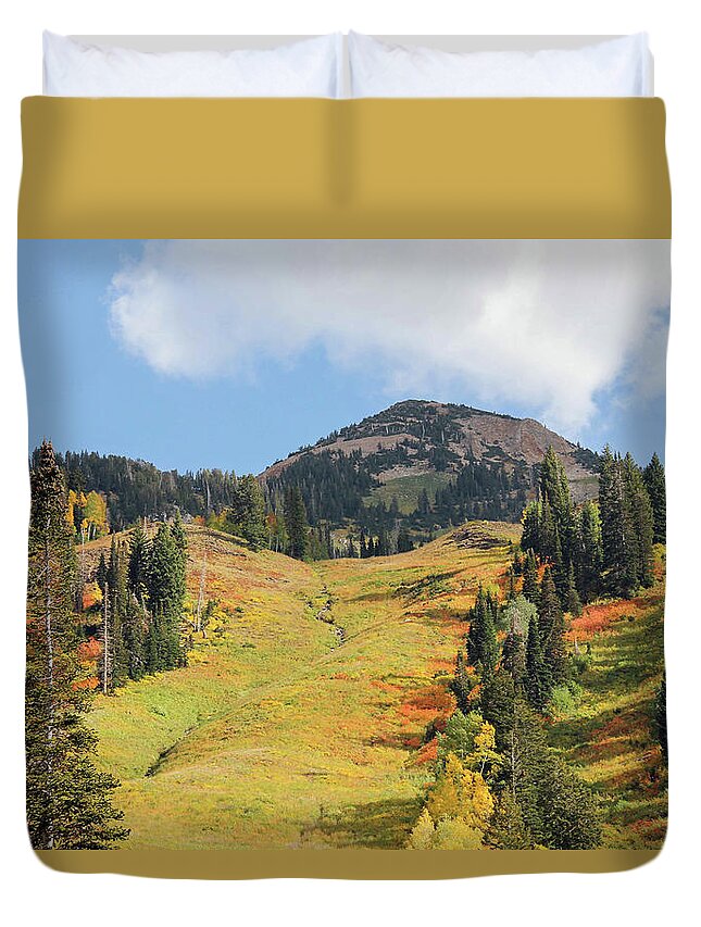 Autumn Duvet Cover featuring the photograph Ski Slope in Autumn by Robert Carter
