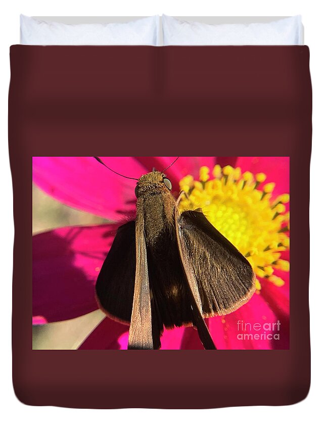 Skipper Duvet Cover featuring the photograph Skipper Ocola by Catherine Wilson