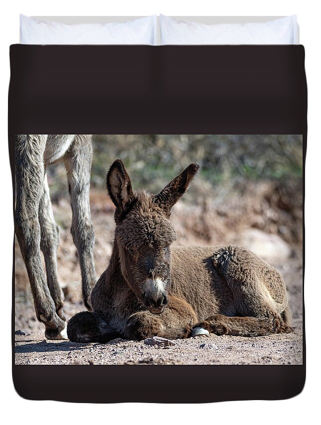 Wild Burros Duvet Cover featuring the photograph Sleepy Head by Mary Hone