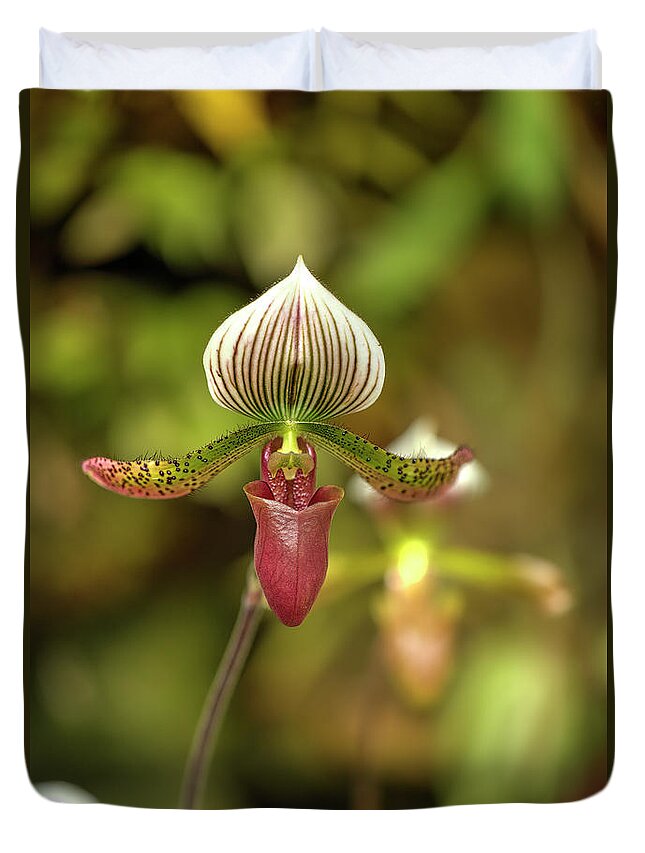Photographs Duvet Cover featuring the photograph Slipper Orchid by Felix Lai