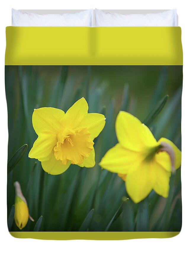 Art Duvet Cover featuring the photograph Small Talk and Daffodils by Rocco Leone