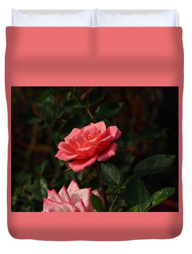 Botanical Duvet Cover featuring the photograph Smokey Pink Beauty by Richard Thomas