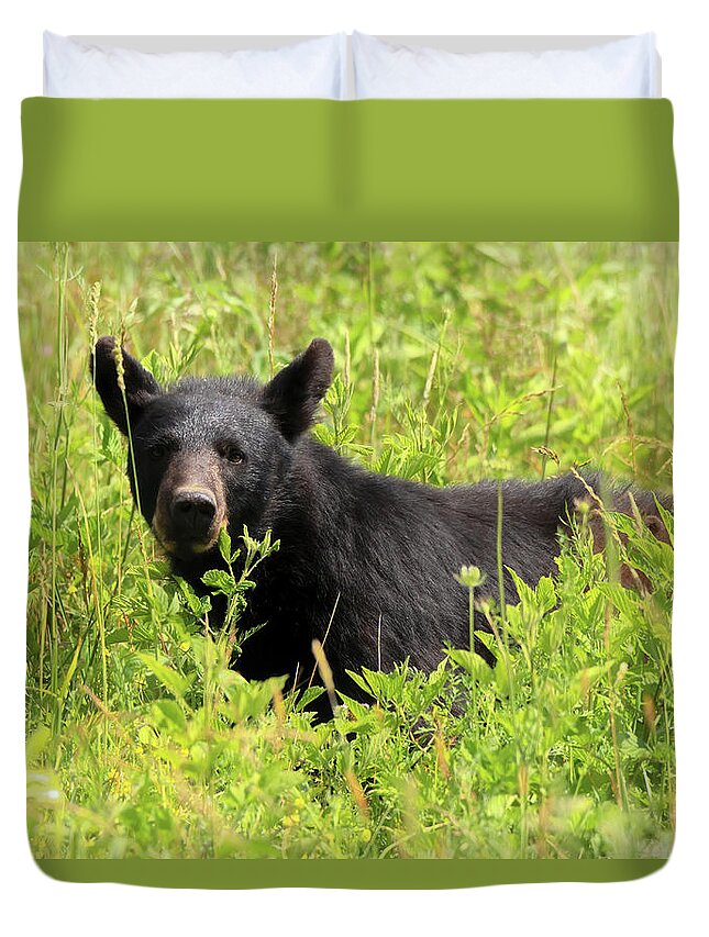 Bear Duvet Cover featuring the photograph Smoky Mountains - Black Bear in the Meadow by Susan Rissi Tregoning
