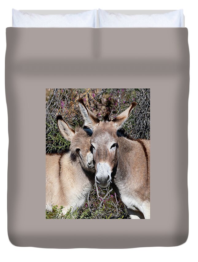 Wild Burros Duvet Cover featuring the photograph Smushy Face by Mary Hone
