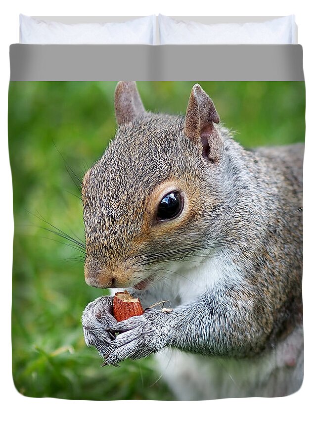 Squirrel Duvet Cover featuring the photograph Snack Break for Squirrel by Rona Black