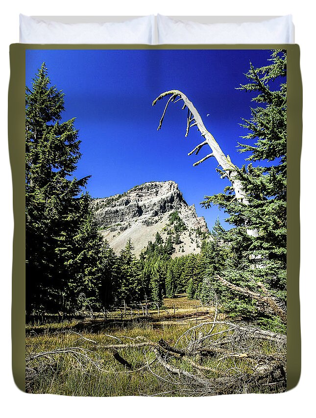 Mountain Duvet Cover featuring the photograph Snag Tree by Craig A Walker