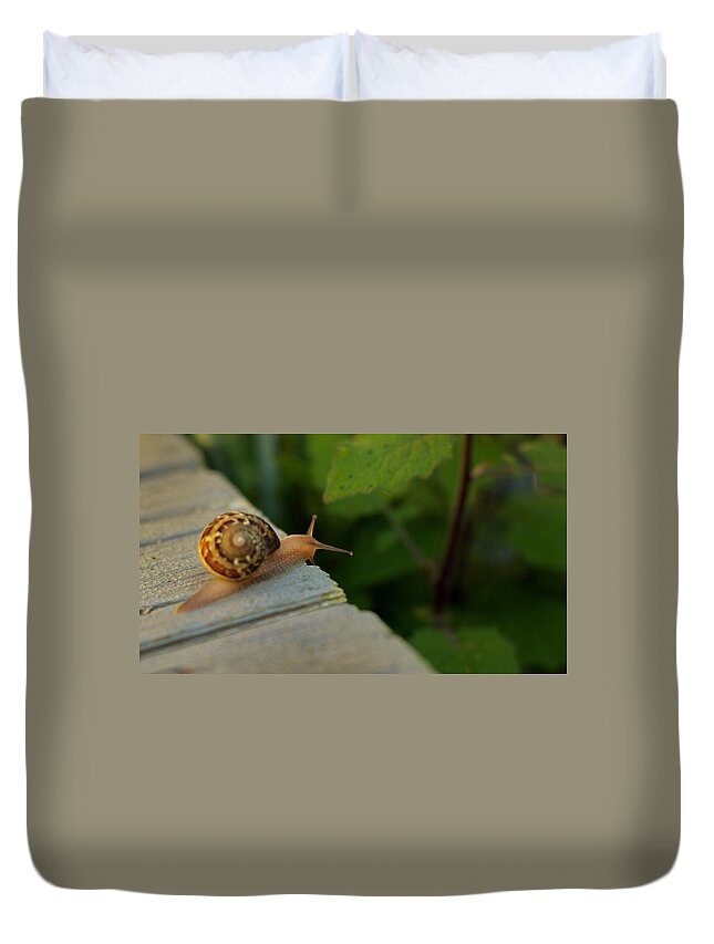Snail Duvet Cover featuring the photograph Snail 1 by Carol Jorgensen