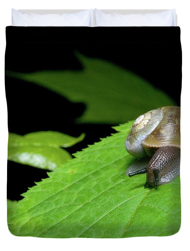 Macro Duvet Cover featuring the photograph Snails Journey by Melissa Southern