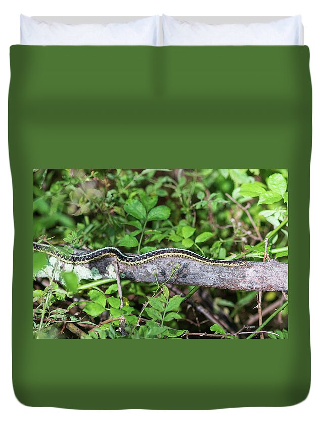 Reptile Duvet Cover featuring the photograph Snake on a Log by Amelia Pearn