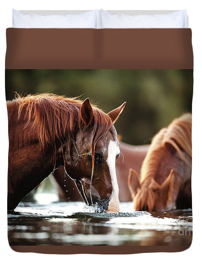 Salt River Wild Horses Duvet Cover featuring the photograph Snorkel Time by Shannon Hastings