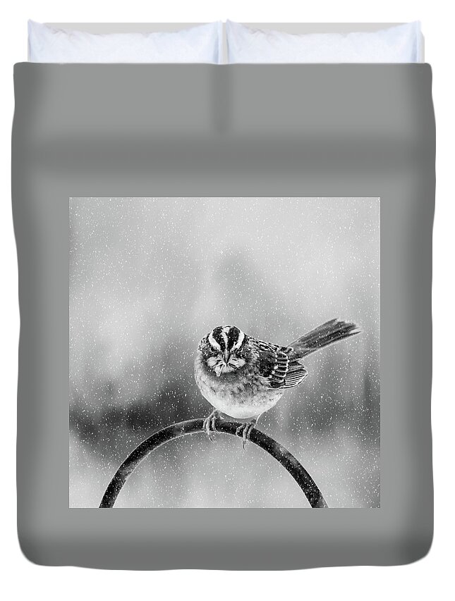 Bird Duvet Cover featuring the photograph Snow Again by Cathy Kovarik
