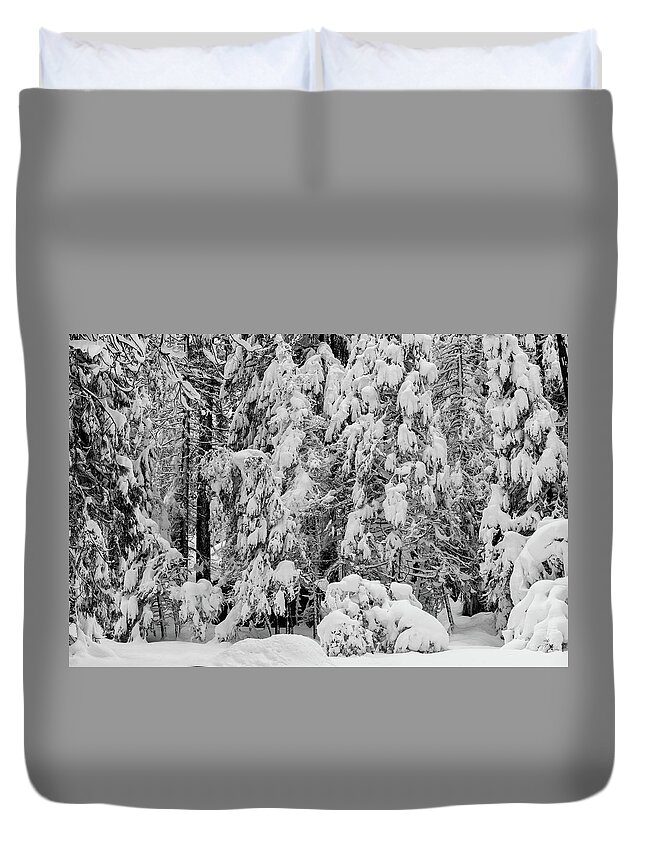 Yosemite National Park Duvet Cover featuring the photograph Snow-covered coniferous trees , natural pattern by Alessandra RC