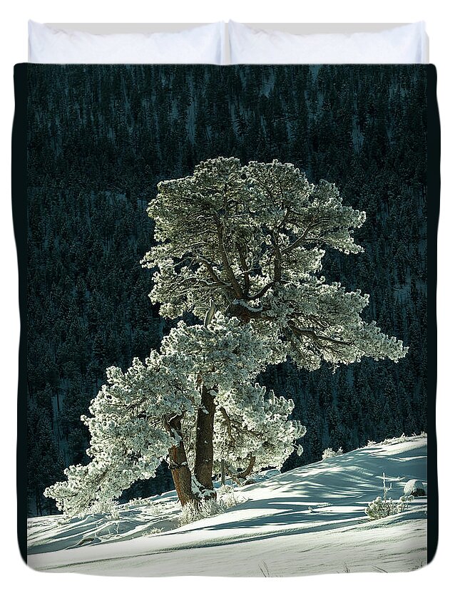 Colorado Duvet Cover featuring the photograph Snow covered tree - 9182 by Jerry Owens