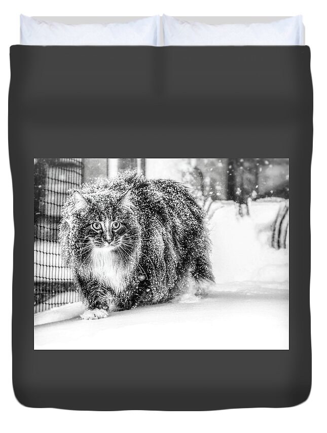 Cat Duvet Cover featuring the photograph Snow experience by Jaroslav Buna