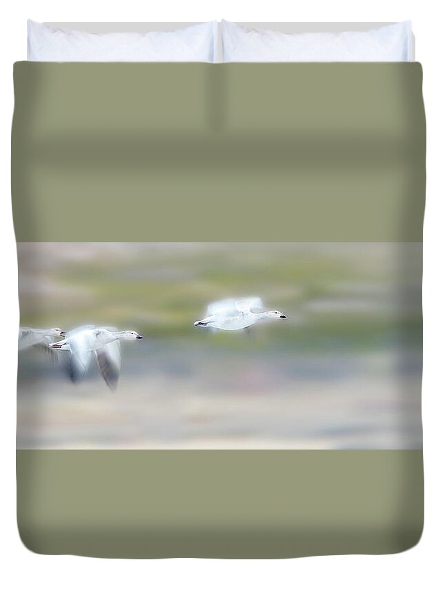Snow Geese Duvet Cover featuring the photograph Snow Geese Flight by Judi Dressler