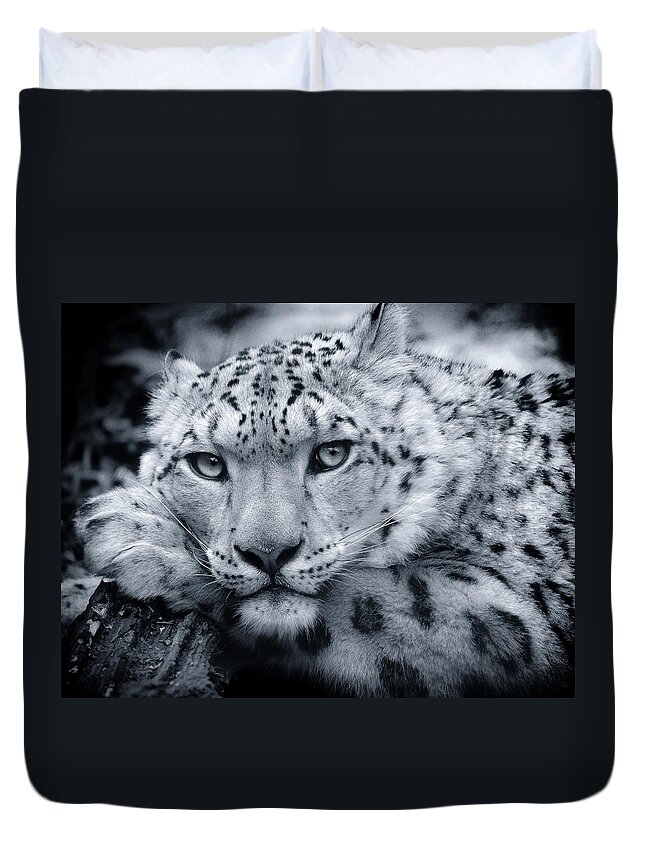 Snow Leopard Duvet Cover featuring the photograph Snow Leopard Portrait - Request by Chris Boulton