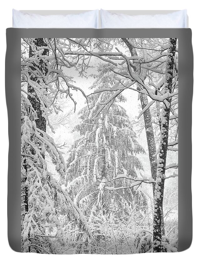 Pine Duvet Cover featuring the photograph Snow Pine by Steven Nelson