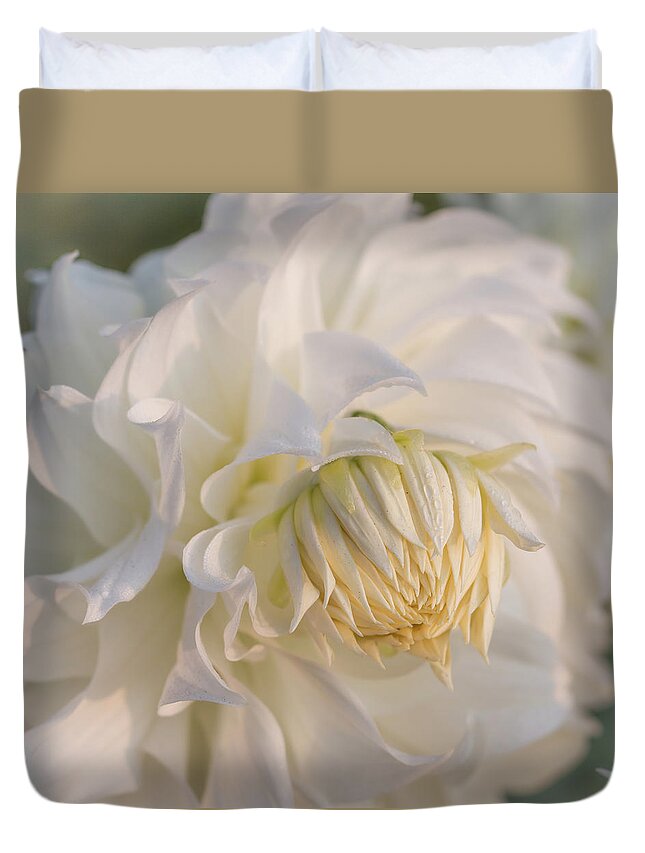 Gardens Duvet Cover featuring the photograph Snowbound Dahlia at Sunrise by Teresa Wilson