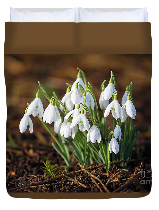 Snowdrops Duvet Cover featuring the photograph Snowdrops by Tom Holmes Photography