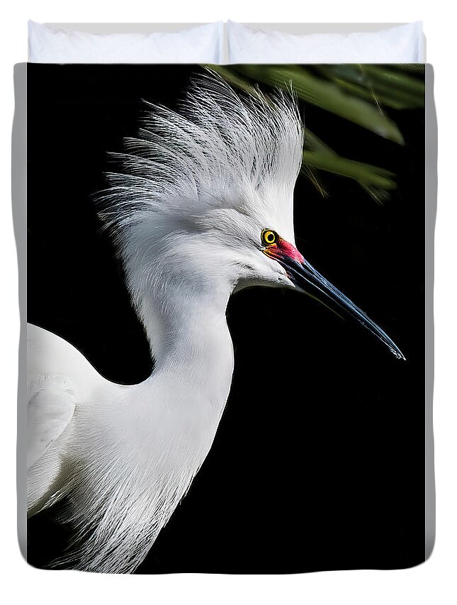 Egret Duvet Cover featuring the photograph Snowy Egret Hair Do by Ginger Stein
