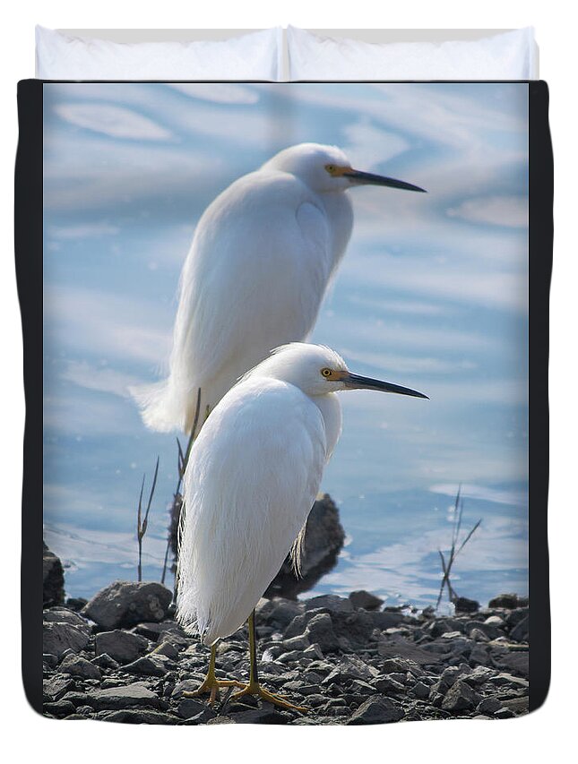 Snowy Egret Duvet Cover featuring the photograph Snowy Egret Pair by Brian Tada