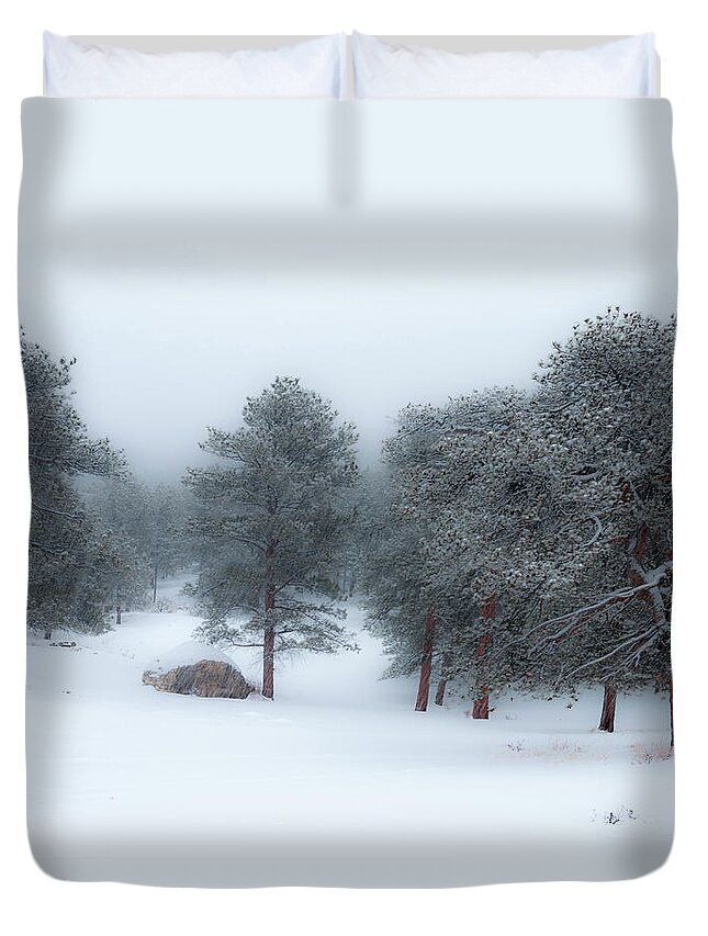 Colorado Duvet Cover featuring the photograph Snowy Morning - 0622 by Jerry Owens