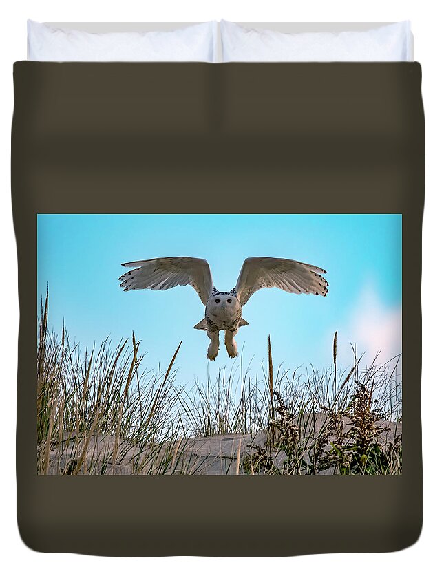 Owl Duvet Cover featuring the photograph Snowy Owl In Flight by Cathy Kovarik