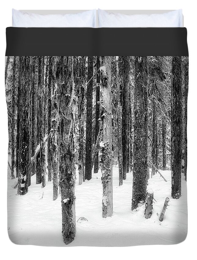 Black And White Photography Duvet Cover featuring the photograph Snowy Trees Uniquely the Same by Allan Van Gasbeck